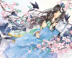 双人瑜伽小说原文